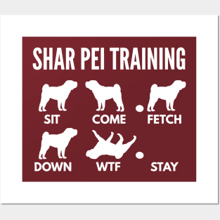 Shar Pei Training Shar Pei Dog Tricks Posters and Art